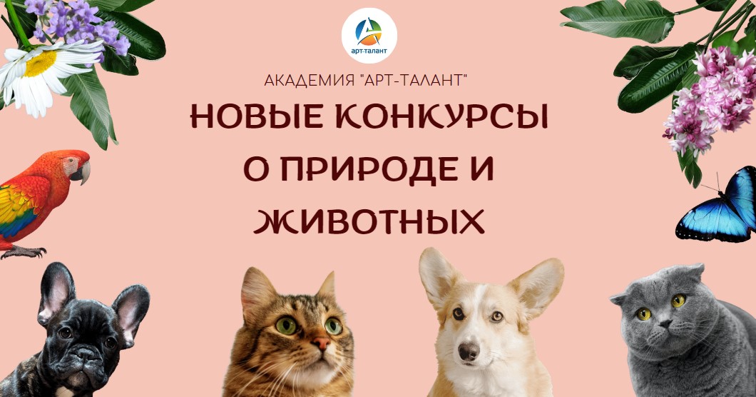 Новые конкурсы о природе и животных