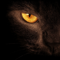 Мельникова Инга Юрьевна