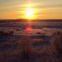 Кучевасова Ирина Александровна