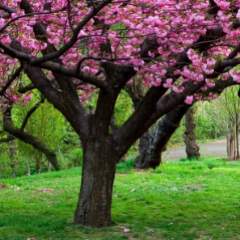 Жукова Валентина Ивановна