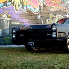 Дорогина Вера Юрьевна