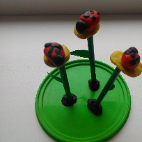 Данилова Светлана Ивановна