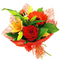 Яськова Лариса Ивановна