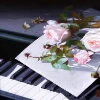 Аксененко Наталья Владимировна