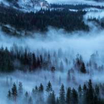 Кунгурова Альбина Петровна