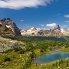 Кызынгашева Ирина Владимировна