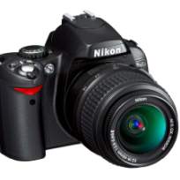 Хачко Ирина Александровна