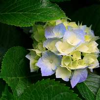 Бобырь Елена Владимировна