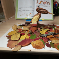 Романова Елена Васильевна