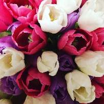 Гончарова Наталья Павловна