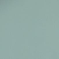 Исаргакова Алия Ринатовна