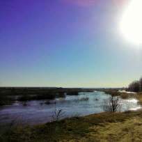 Гридасова Валентина Юрьевна