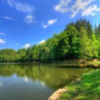 Жукова Наталия Сергеевна