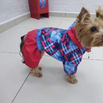 Родзонюк Лариса Сергеевна