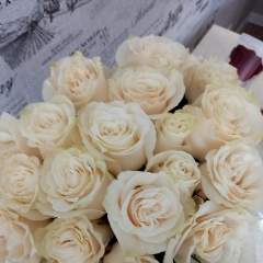 Анна Викторовна Вельмискина