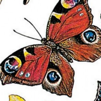 Галяува Ирина Тагирьяновна