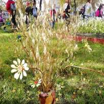 Люц Галина Анатольевна