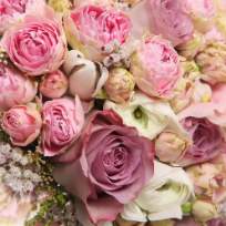 Зорина Анна Владимировна