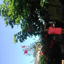 Федорова Ирина Александровна