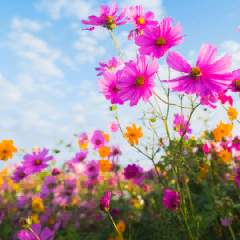 Вахторова Любовь Викторовна