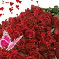 Сирожидинова Гулджахон Садридиновна