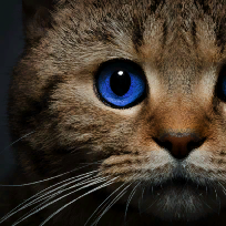 Сайгибат Халиловна