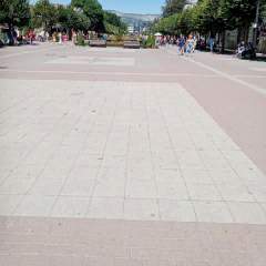 Шаргинова Ольга Николаевна