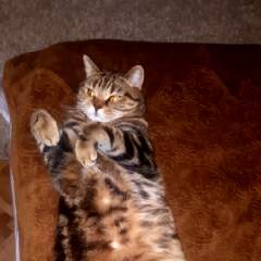 Сергеева Ольга Андреевна