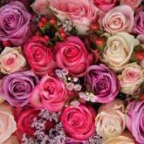 Седова Ольга Альбертовна