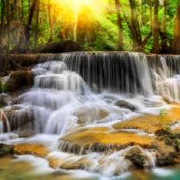 Козлова Екатерина Андреевна