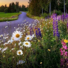 Попова Оксана Юрьевна