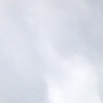 Долинина Елена Ивановна