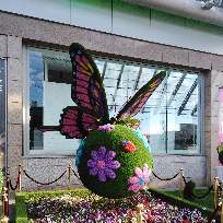 Ежова Юлия Александровна