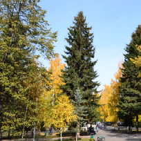 Светлана Сергеевна Клейнова