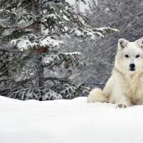 Огородникова Людмила Владимировна