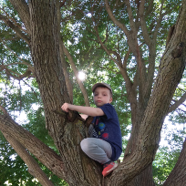 Владислав Александров