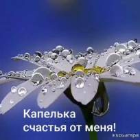 Ястребова Лариса Анатольевна