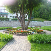 Ткачева Ульяна Борисовна