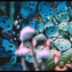 Седунова Алена Сергеевна