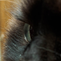 Жанна Евгеньевна Щукина