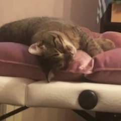 Дарья Данильченко