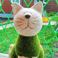  Кипень Наталия Игоревна