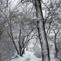 Лунькова Наталья Николаевна