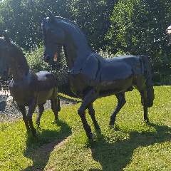 Чумарова Ирина Юрьевна 