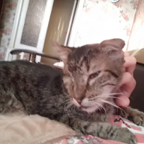 Мария Сергеева