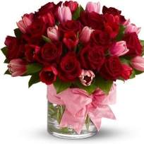 Альбина Ахметшина