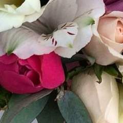 Нестерова Ольга Александровна