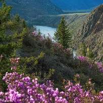 Лебедева Вера Николаевна