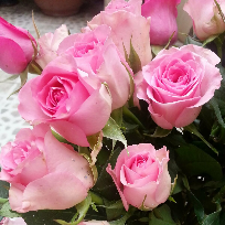 Петрова Любовь Леонидовна