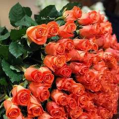 Кошлец Максим, руководитель проекта  Клячина Г.П., учитель физики 